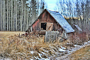 Seen Better Days Photograph by Vivian Martin