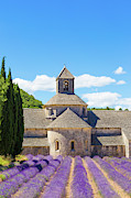 Senanque, Provence, France Photograph by Francesco Riccardo Iacomino