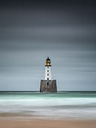 Sentinel Photograph by Raymond Carruthers