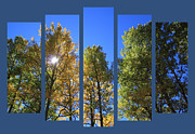 Set 40 Photograph by Shane Bechler