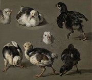 Seven Chicks. Painting by Melchior d'Hondecoeter