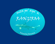 Shark In Rangiroa Photograph by Diane Macdonald