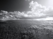 Shark Valley at Everglades National Park Photograph by Mark Andrew Thomas Shark Valley at Everglades National Park Photograph by Mark Andrew Thomas