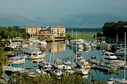 Shelter Cove Marina Photograph by Dennis Schmidt Shelter Cove Marina Photograph by Dennis Schmidt