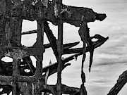 Shipwreck skeleton Photograph by Segura Shaw Photography