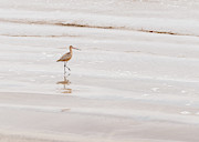 Landscape Photography - Beach Scene Photograph by Amelia Pearn Landscape Photography - Beach Scene Photograph by Amelia Pearn