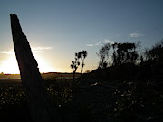 Silhouette in the sunset Photograph by Martin Smith Silhouette in the sunset Photograph by Martin Smith
