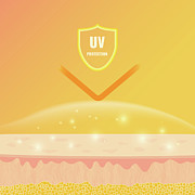 Skin Protection Photograph by Science Photo Library