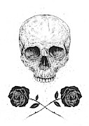 Skull N' Roses Drawing by Balazs Solti
