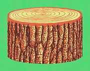 Slab of Wood Drawing by CSA Images Slab of Wood Drawing by CSA Images