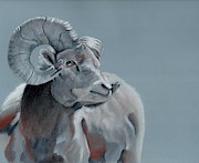 Slate Blue Ram  Pastel by Alexis King-Glandon