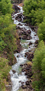Small Cascade 1x2 Vertical Photograph by William Dickman Small Cascade 1x2 Vertical Photograph by William Dickman