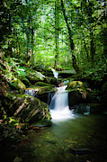 Smokey Mountain Tranquility Photograph by Randall Allen