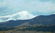 Snow Capped Photograph by Karen Stansberry Snow Capped Photograph by Karen Stansberry