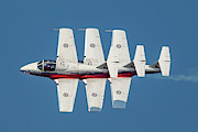 Snowbirds 3 in a Row Photograph by Donna Corless Snowbirds 3 in a Row Photograph by Donna Corless