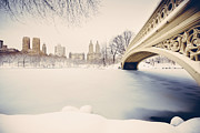 Snowy Central Park New York Photograph by Ferrantraite