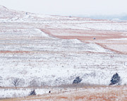 Snowy Hill -01 Photograph by Rob Graham