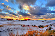 Snowy Sunset Photograph by David Patterson