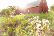 Soft and Light 36 Photograph by Becqi Sherman Soft and Light 36 Photograph by Becqi Sherman
