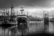 Soft Gray Morning Photograph by Bill Posner