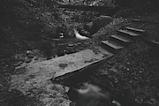 Sometimes Love Leaves Photograph by Laurie Search