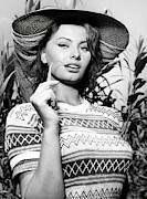 SOPHIA LOREN in THE RIVER GIRL -1955- -Original title LA DONNA DEL FIUME-. Photograph by Album