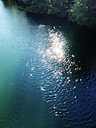 Sparkling River Photograph by Mimulux Patricia No