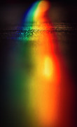 Spectrum Photograph by Peter Hull