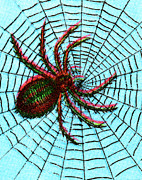 Spider on a Spiderweb Drawing by CSA Images Spider on a Spiderweb Drawing by CSA Images