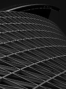 Spiral Photograph by Kazuhiro Komai