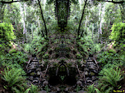 Spirits of Tamalpais #2 Photograph by Ben Upham III