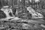 Spring At Glacier Twin Falls Black And White Photograph by Adam Jewell
