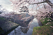 Spring Castle Photograph by Photo By Glenn Waters In Japan