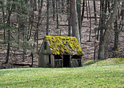 Spring Photograph by Paul Ross Spring Photograph by Paul Ross