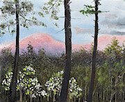 Springtime at Pink Knob in Ellijay Painting by Jan Dappen Springtime at Pink Knob in Ellijay Painting by Jan Dappen
