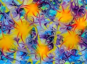 Starfish Family Digital Art by Callie Austin