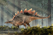 Stegosaurus in Profile Digital Art by Daniel Eskridge Stegosaurus in Profile Digital Art by Daniel Eskridge