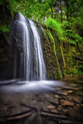 Stephens Falls Photograph by Brad Bellisle