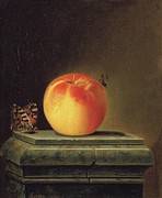 Still Life With Apple And Insects Painting by Justus Juncker