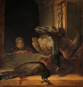 Still Life with Peacocks. Still Life with Dead Peacocks. Painting by Rembrandt -1606-1669-