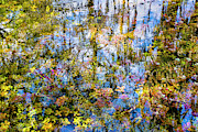 Stillness Holds Everything Photograph by Louise Lindsay