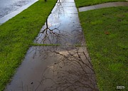 Storm Puddle Portals Photograph by Richard Thomas
