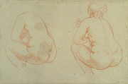 Studies Of Female Nudes Drawing by Peter Paul Rubens