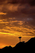 Stunning Copper Sunset Photograph by Elisabeth Lucas