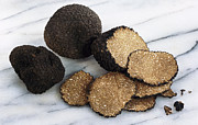 Summer Truffle Photograph by Science Photo Library