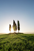 Sun of Val d'Orcia Photograph by Francesco Riccardo Iacomino