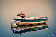 Sunbathing Photograph by Bryan Lee Williams