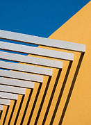 Sunny Composition Photograph by Adolfo Urrutia