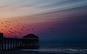 Sunset And Pier In Cocoa Beach Florida Photograph by Cavan Images