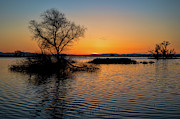 Sunset in the Refuge Photograph by Cheryl Strahl